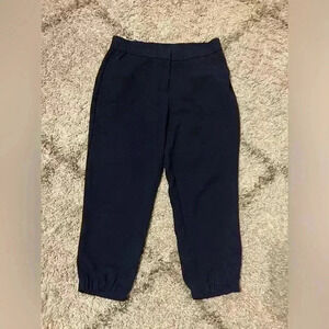 Ann Taylor size 10 dress pants (T109)